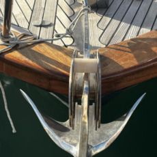 Dolphin Charter