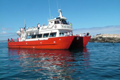 Verhuur Catamaran Nauticat 21.3 Kaapstad