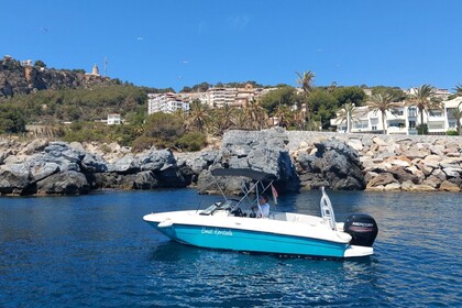 Charter Motorboat BAYLINER Element 180 XL La Herradura