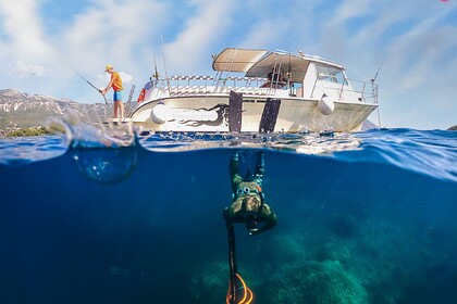 Charter Motorboat Motorboat Tranquility Kotor Local model 375hp Budva