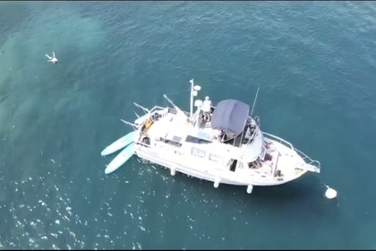 Charter Motorboat MARINE CORPORATION OCEAN 37 Argelès-sur-Mer