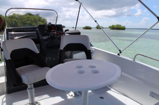 Motorboat Beneteau flyer 6.6 Sundeck Plan du bateau