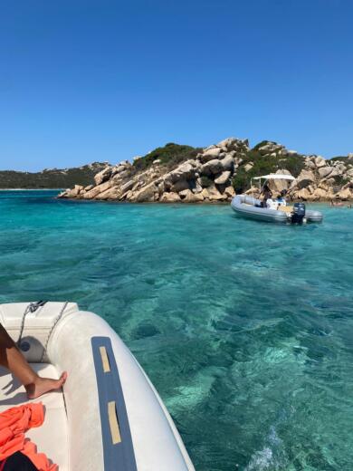 Palau Without license BSC BSC 50 SPECIAL alt tag text