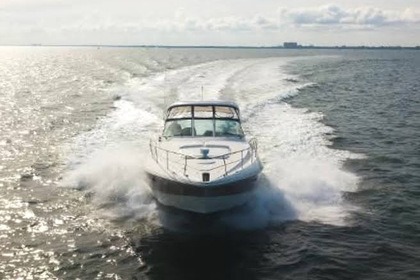 Rental Motorboat Cruisers Yachts 420 Express Montego Bay