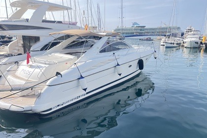 Charter Motorboat Sunseeker Portofino 50 Mallorca