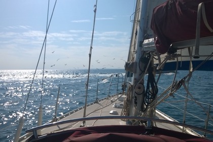 Miete Segelboot JEANNEAU MELODY Hérault