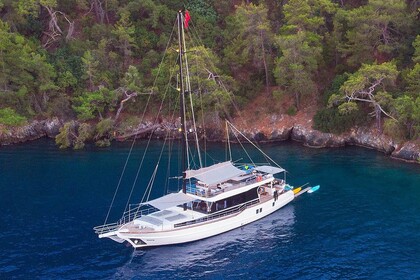Rental Gulet Gulet Gulet NK2 Fethiye