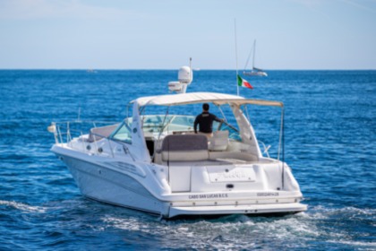 Rental Motorboat Sea Ray 400 Sundancer Cabo San Lucas