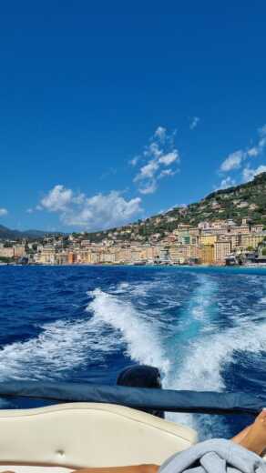 Génova Without license Capelli Tempest 570 alt tag text