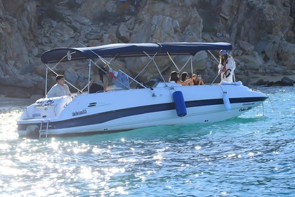 Charter Motorboat Bayliner 210 Cabo San Lucas
