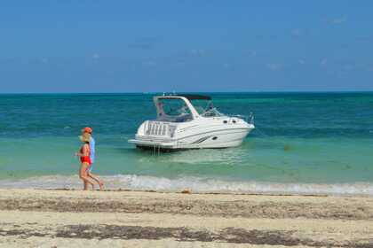 Miete Motorboot Chaparral 33 Cancún