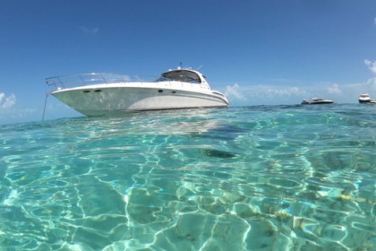 Rental Motor yacht Sea Ray 550 Sundancer Fort Lauderdale