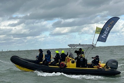 Charter RIB xsribs xs800 Granville