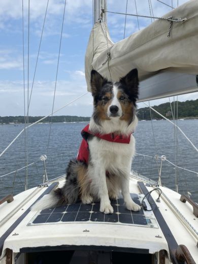 Macinaggio Sailboat Jeanneau Espace 990 alt tag text