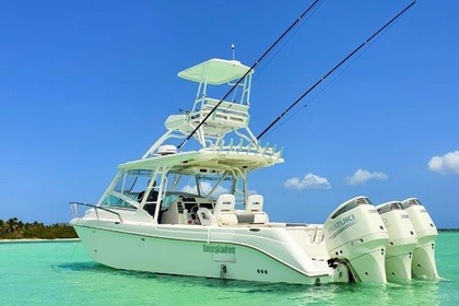 Charter Motorboat ever glades 35 La Romana