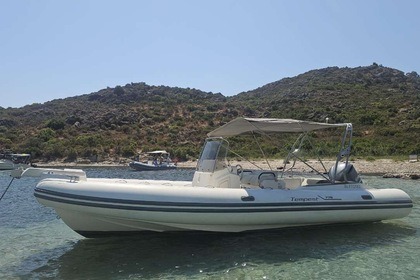 Ενοικίαση Φουσκωτό Capelli 775 Σαιν-Φλοράν