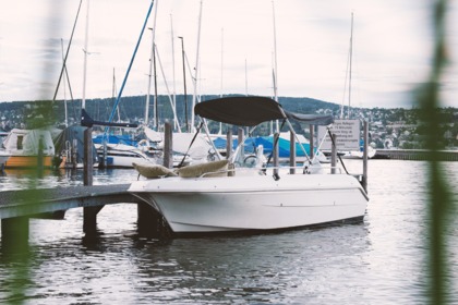 Charter Motorboat Quicksilver 435 C Lake Zurich