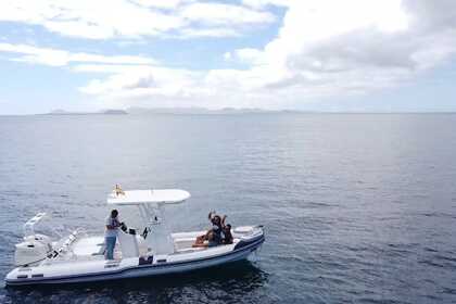 Noleggio Gommone Caribe DL 25 Puerto Calero
