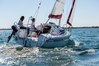 Location Voilier NORTHMAN Maxus 22 Marseillan