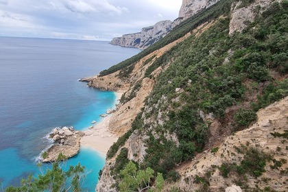 Noleggio Gommone Joker Boat CLUBMAN 24 Santa Maria Navarrese