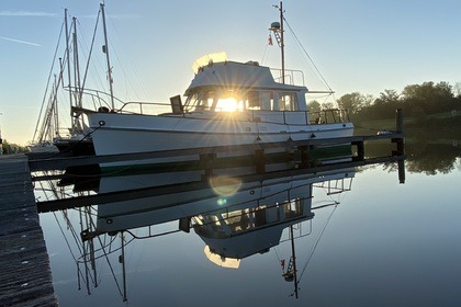 Rental Motorboat American Marine Grand Banks 32 Veere