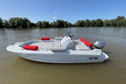 Rental Motorboat ROTO 450S Family Nantes