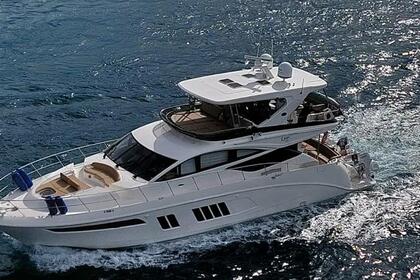 Charter Motorboat Sea Ray L650 Fly Belize