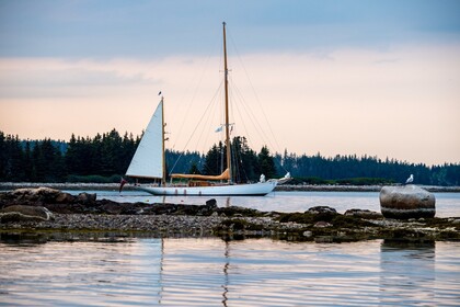 Rental Gulet William Fife Sailing classic yacht Porquerolles