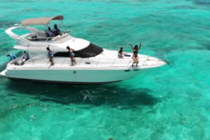 Charter Motorboat Sea Ray 460 Cancún