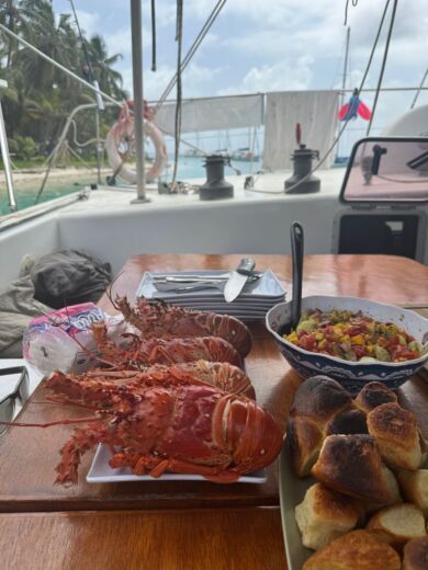 Îles San Blas Catamaran Catamaran 50 foot alt tag text