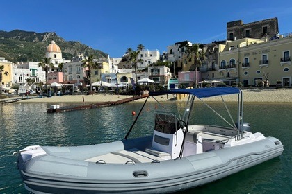 Charter RIB Predator 650 Touring Ischia