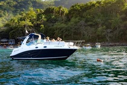 Alquiler Lancha Sea Ray 260 Sundancer Puerto Vallarta