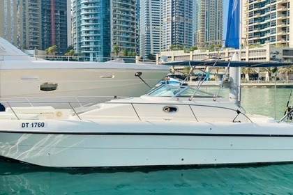 Verhuur Motorboot Gulf Craft 35 Dubai