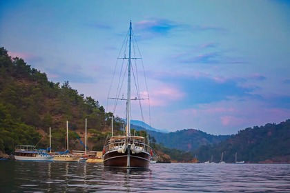 Rental Gulet Custom Made Göcek