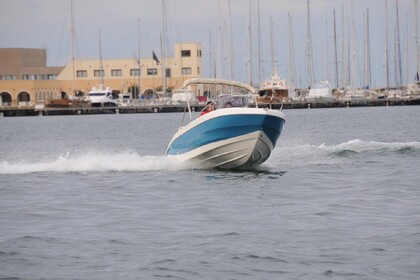 Charter Motorboat MARINESITE 18 Sirmione