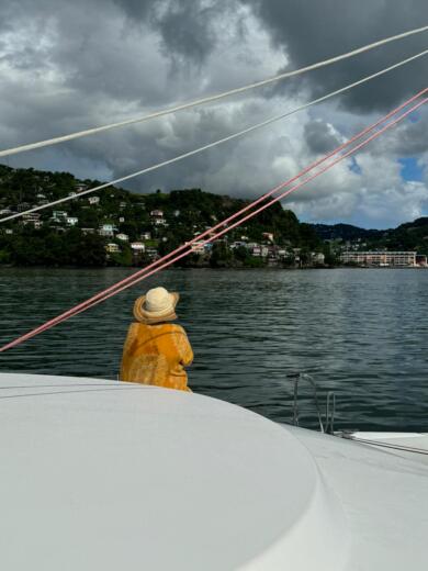 Grenada Catamaran NEEL Trimarans NEEL 45 alt tag text