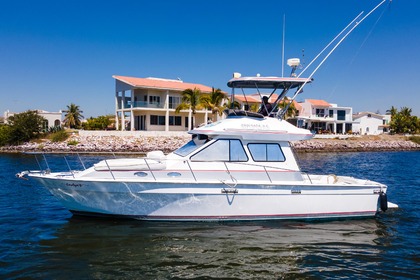 Charter Motorboat Mediterraneo 400 Mazatlán