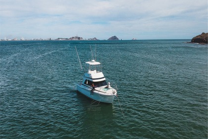 Alquiler Lancha Riviera 360 Flybridge Mazatlán