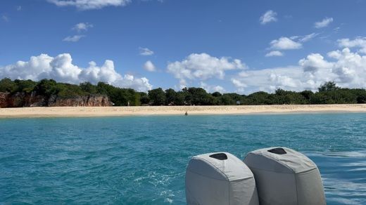 Marigot Motorboat firebird sole alt tag text