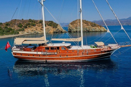 Charter Motorboat BABA VELİ 9 2013 Fethiye
