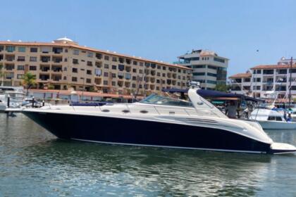 Rental Motorboat Sea Ray 440 Puerto Vallarta