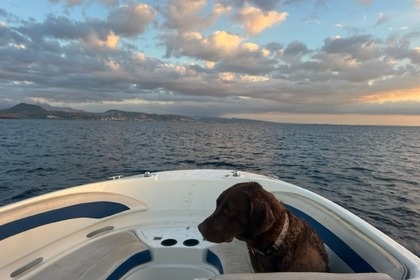 Rental Motorboat Bayliner 245 La Paz