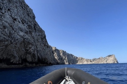 Alquiler Neumática Narwhal 650 Pollença