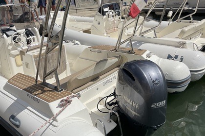 Czarter Ponton RIB Capelli Tempest 700 Argelès-sur-Mer