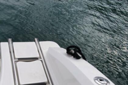 Noleggio Barca senza patente  IDEA MARINE 58 Gallipoli