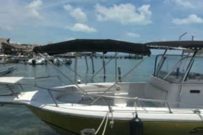 Rental Motorboat Custom 36 Isla Mujeres