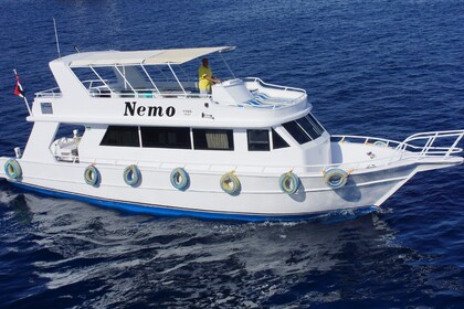 Miete Motoryacht Daily Yachts Shipyard Customized Scharm El-Scheich