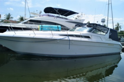 Rental Motorboat Sea Ray 42 Puerto Vallarta