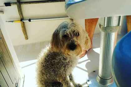 Noleggio Barca a motore Nautica Mingolla Brava 22 open San Foca