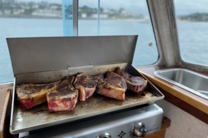 Alquiler Lancha Nelson 34 Ciboure